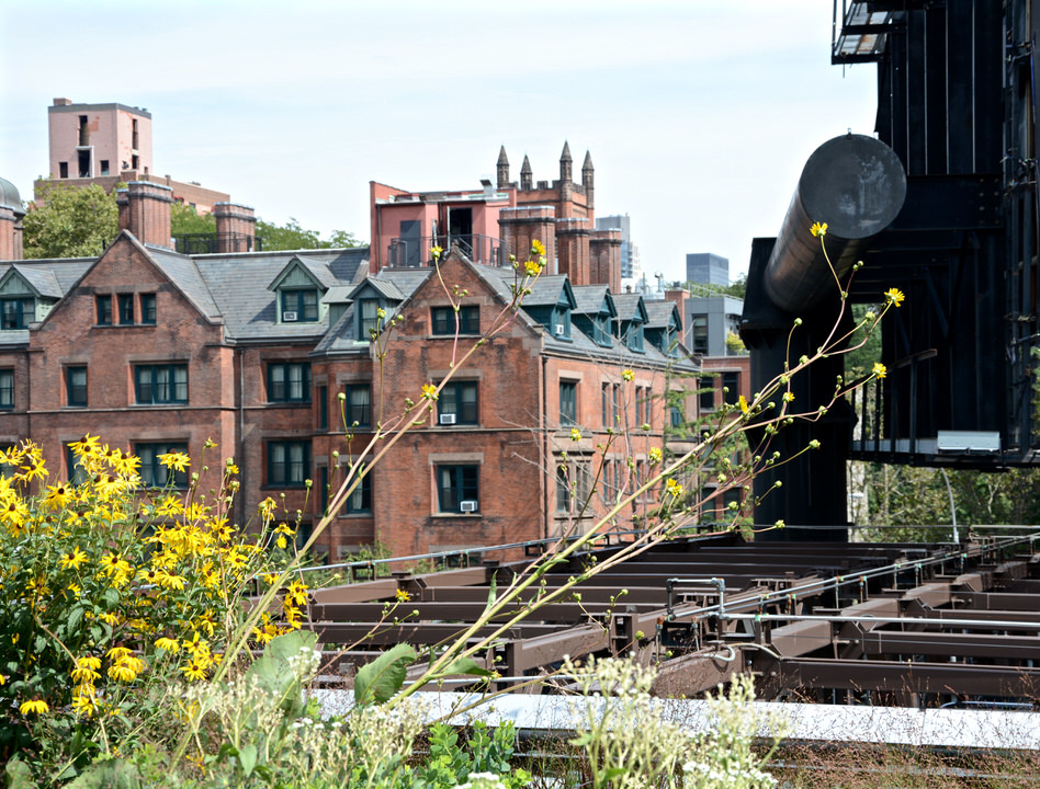 You can marvel at the architecture along the High Line Park in New York, which should not be missed on any sightseeing trip.