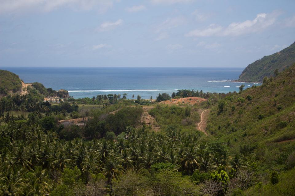 Zwischen den grünen Hügeln und Palmen eröffnet sich der Blick auf Lomboks Mawun Beach und das Meer.