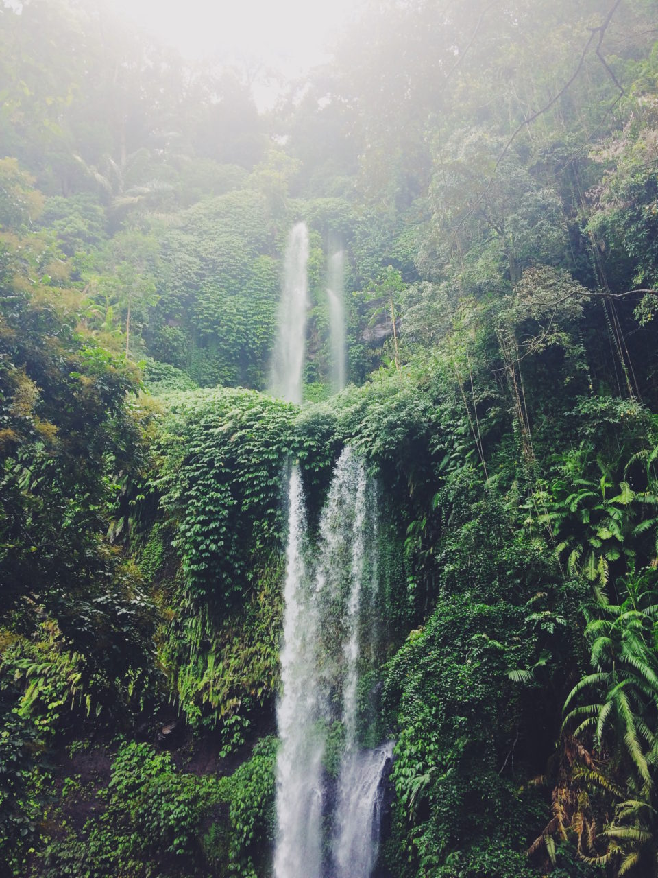 Der Wasserfall Sendang Gile im Nationalpark von Lombok rauscht an einer dichtbewachsenen Felswand durch Blätter und Geäst in die Tiefe.