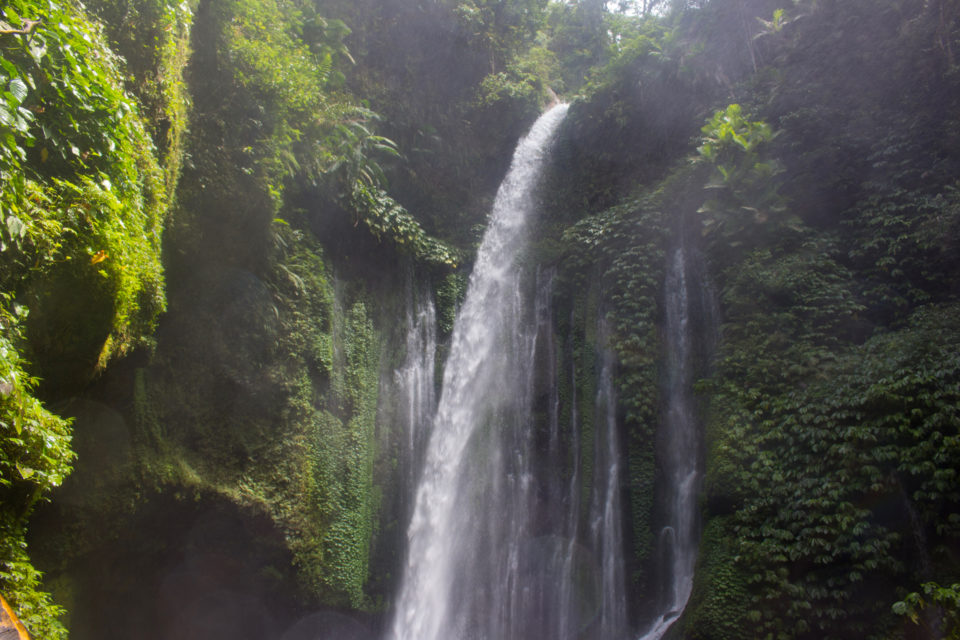 Der Tiu Kelep Wasserfall in Lomboks Nationalpark ist dicht bewachsen und das Wasser rauscht durch das Grün.