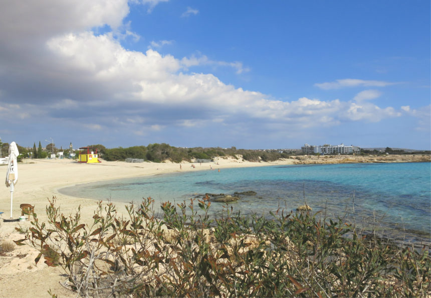Hinter einem Strauch eröffnet sich der feine Sandstrand von Agia Napa Landa Beach in Zypern