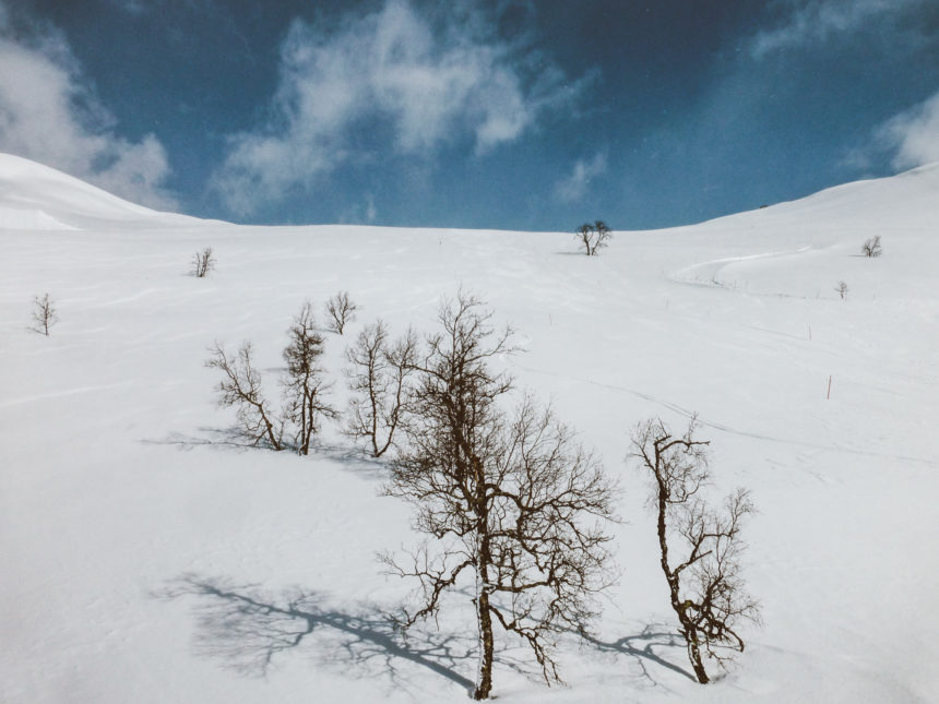 An einem beschneiten Abhang einer Piste in Norwegen stehen vereinzelt Bäume