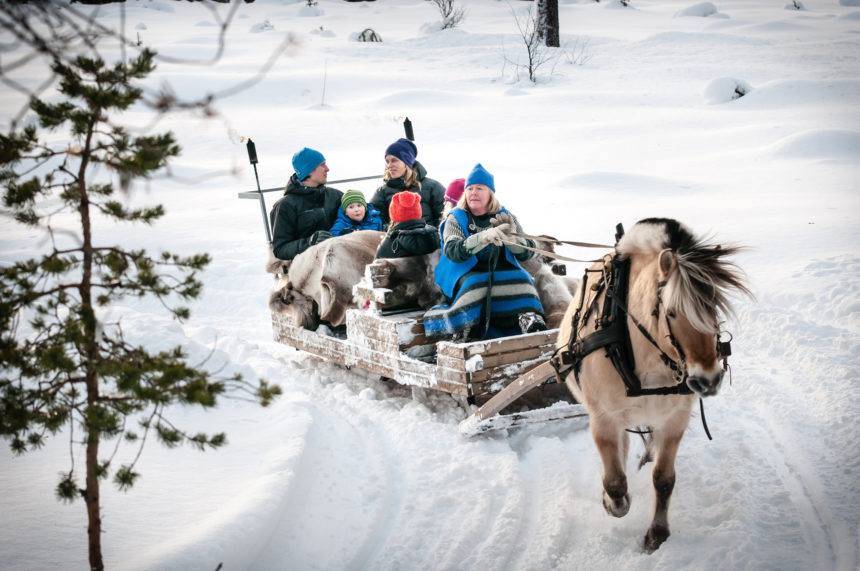 Auf einem beschneiten Weg in Trysil, Norwegen zieht ein Pferd einen Schlittengespann mit Menschen darauf.