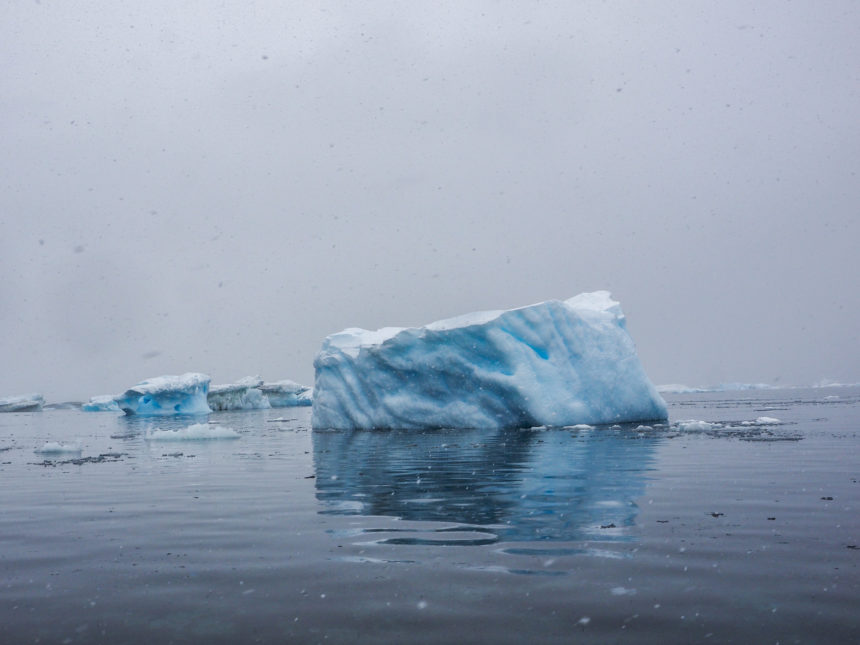 Icebergs protrude from the deep blue sea of Antarctica.