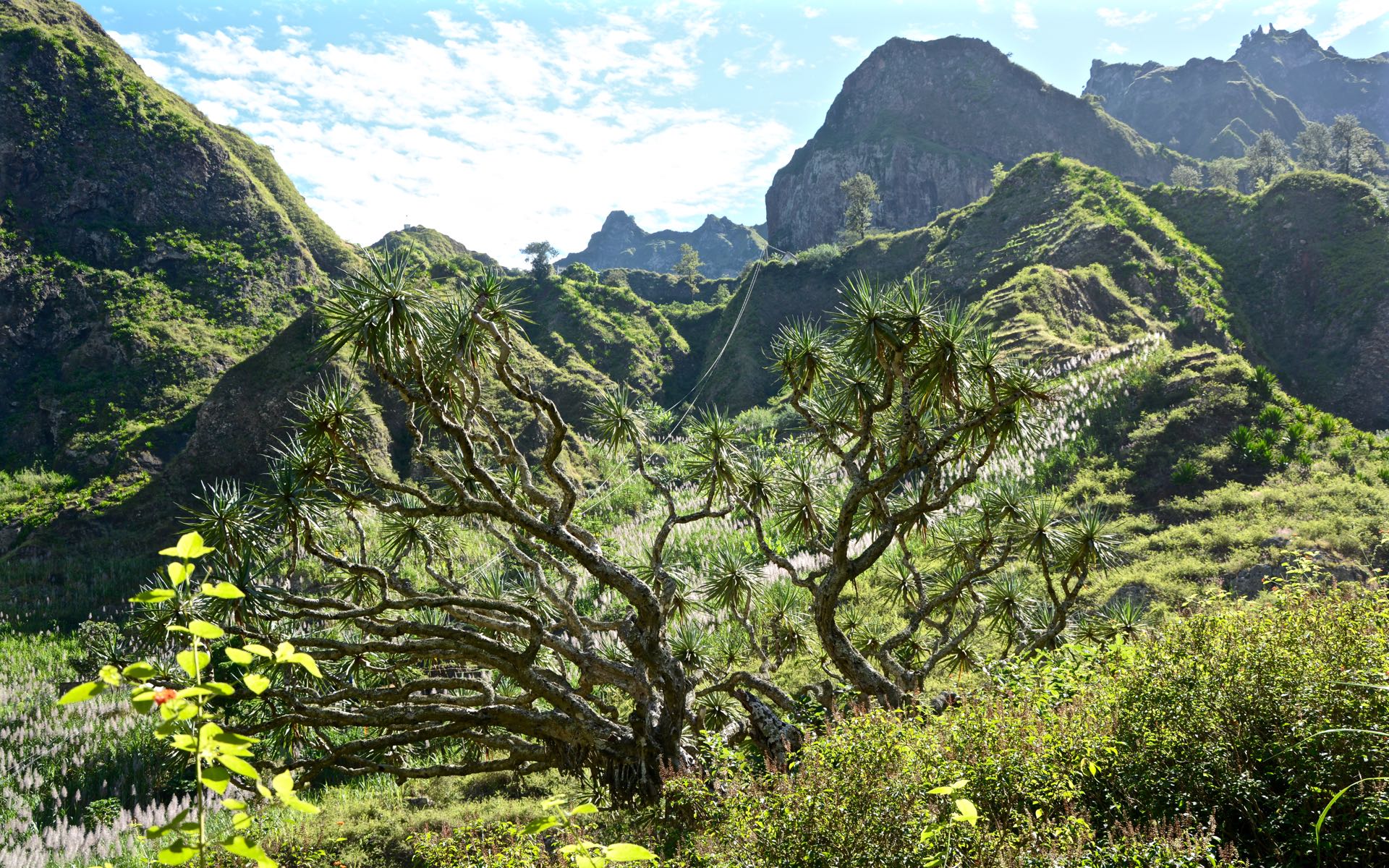 Im Paúl-Tal auf der Kapverdische Insel Santo Antao herrscht tropisches Klima und dieses sorgt für eine üppige Vegetation.