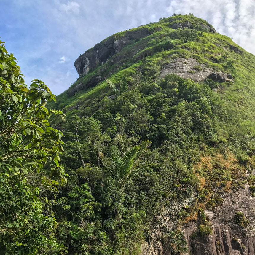 Am Pedra da Gavea in Brasilien strotzt ein steiler dicht-bewachsener Berg in den Himmel.