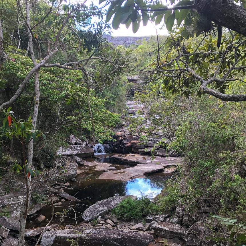 Entlang eines Weges in Chapada Diamantina fließt ein kleiner Fluss unter Steinplatten vorbei an dicht bewachsenen Bäumen und Sträucher.
