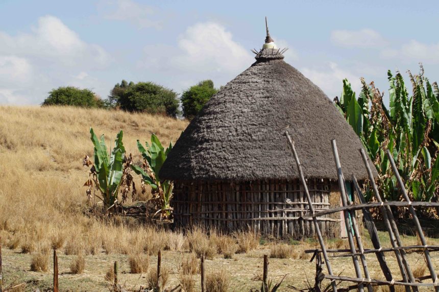 Eine runde Bambushütte steht in Kafa inmitten Kaffee Äthiopien Hütte