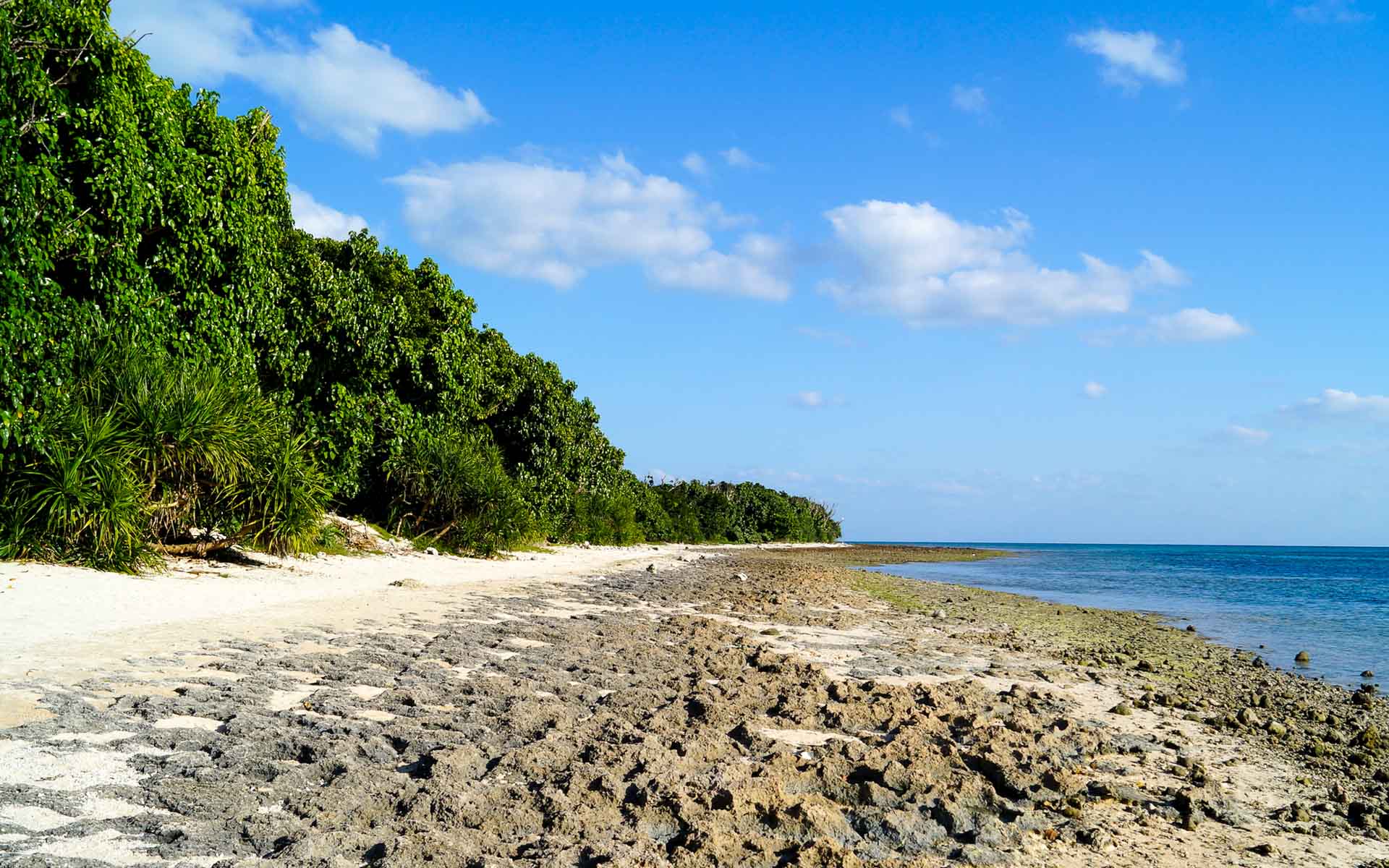 Das Ufer des einsamen Strandes von Kaiji, der japanischen Insel Taketomi der japanischen Yaeyama Inseln, ist von dichten dunkelgrünen Pflanzen gesäumt, der Sandstrand ist mit Steinen durchzogen und das Meer schimmert tief blau.