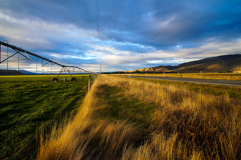 Entlang einer Straße auf einem Roadtrip durch Neuseeland taucht die Sonne die Wiesen und Felder in ein goldenes Licht.