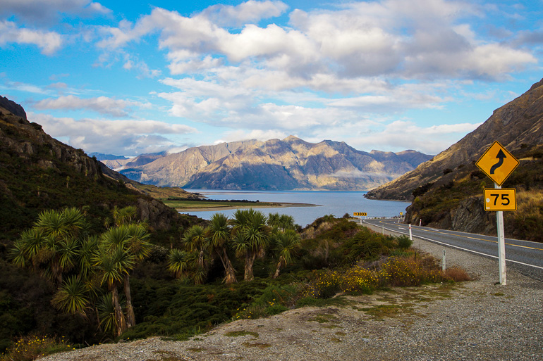 Travellers Insight Reiseblog Neuseeland Tipps Route Serpentinen