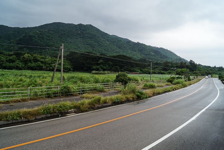 Dunkelgrün bewachsene Hügel und Wiesen säumen die Straßen von Yaeyamas Insel Ishigaki in Japan.