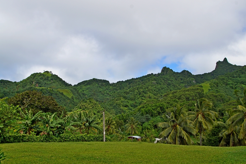 Rarotongas Berg Te Manga in der Südsee ist dicht von Palmen und landestypischen Pflanzen bewachsen.