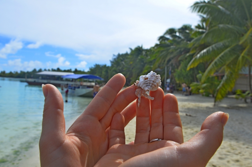 Nach dem Schnorcheln am Tikioki Beach auf den Cookinseln hält eine Frau eine Muschel in den Händen.
