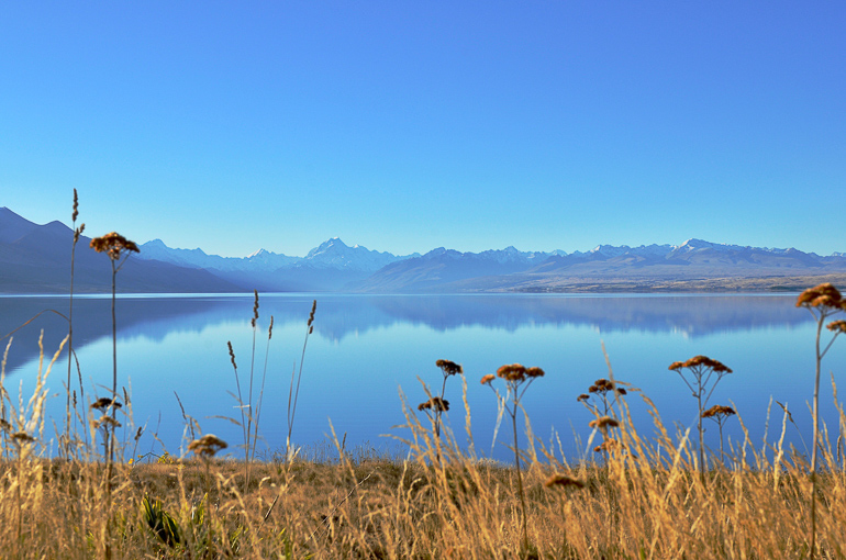 Travellers insight Reiseblog Neuseeland Südinsel Roadtrip Pukaki