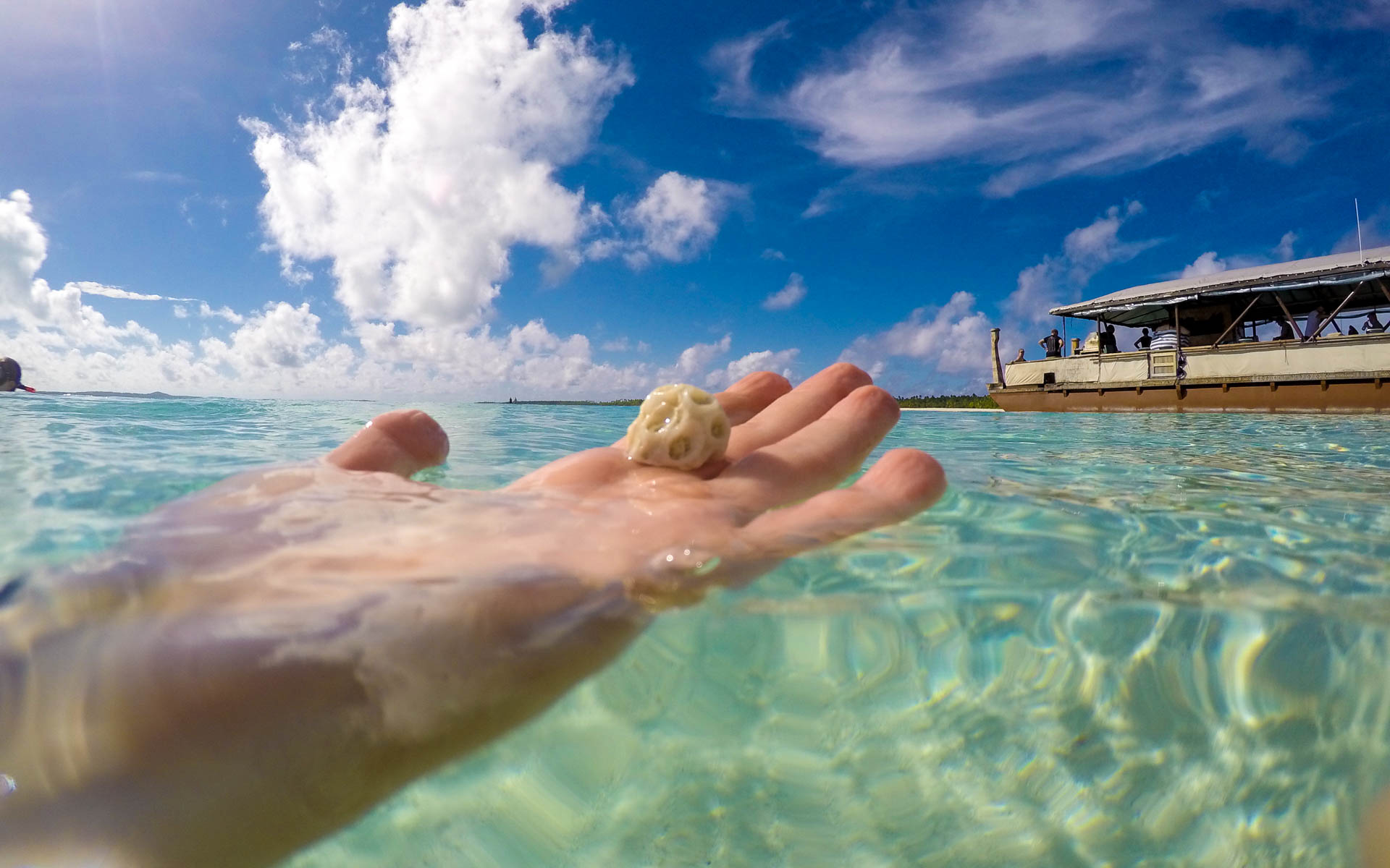 Eine Hand hält im glasklarem Meer auf Aitutaki, Cook Inseln eine beigefarbene Muschel in der Hand.