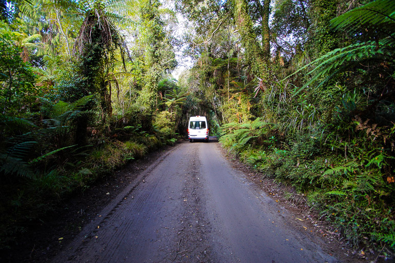 Travellers insight Reiseblog Neuseeland Roadtrip Scenic DOC