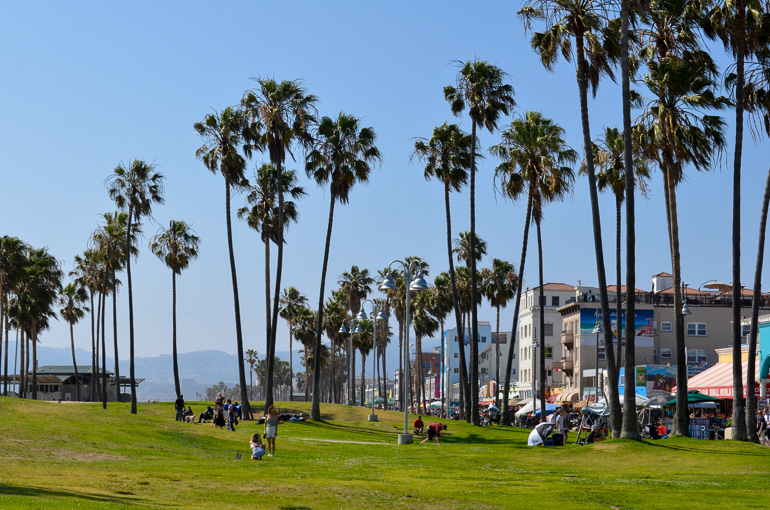 Der Venice Beach Boardwalk entlang des Pazifiks ist eine Strandpromenade mit vielen kleinen Geschäften, eine Grünfläche und Palmen säumen den Weg.