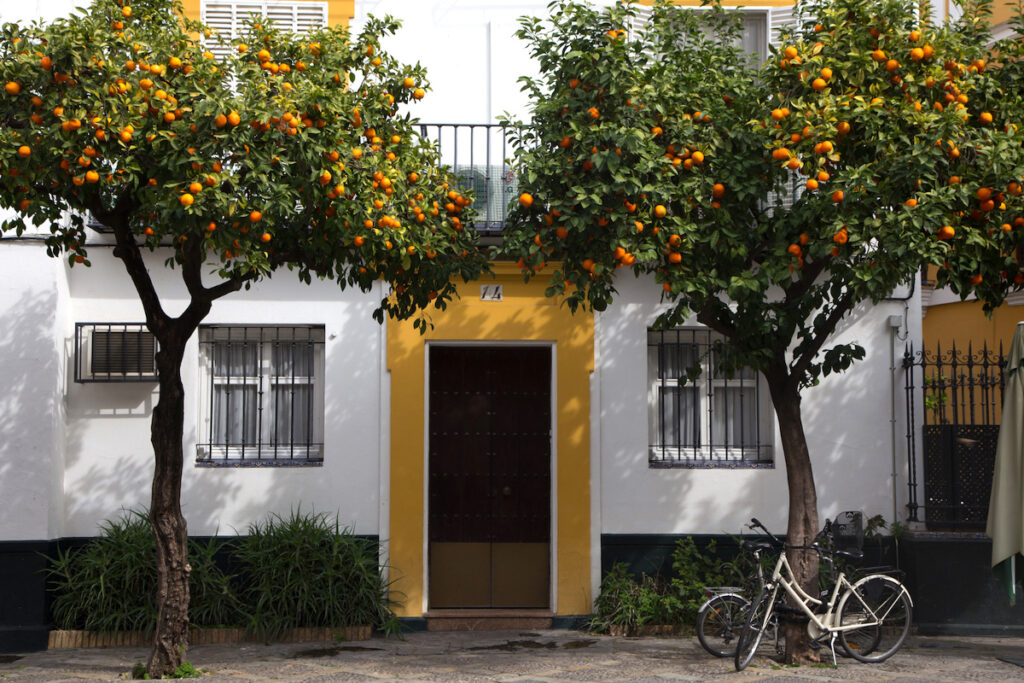 Sevillas Stadtbild mit süßen Häusern und Orangenbäumen ist bezaubernd.