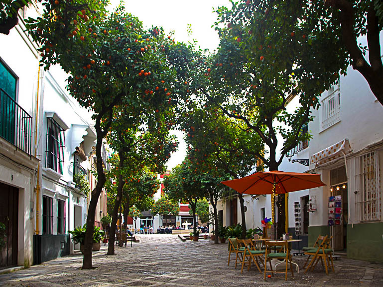Üppige Orangenbäumchen zieren die schmalen Gassen der Altstadt in Sevilla und die kleinen Cafés laden zum Verweilen ein.