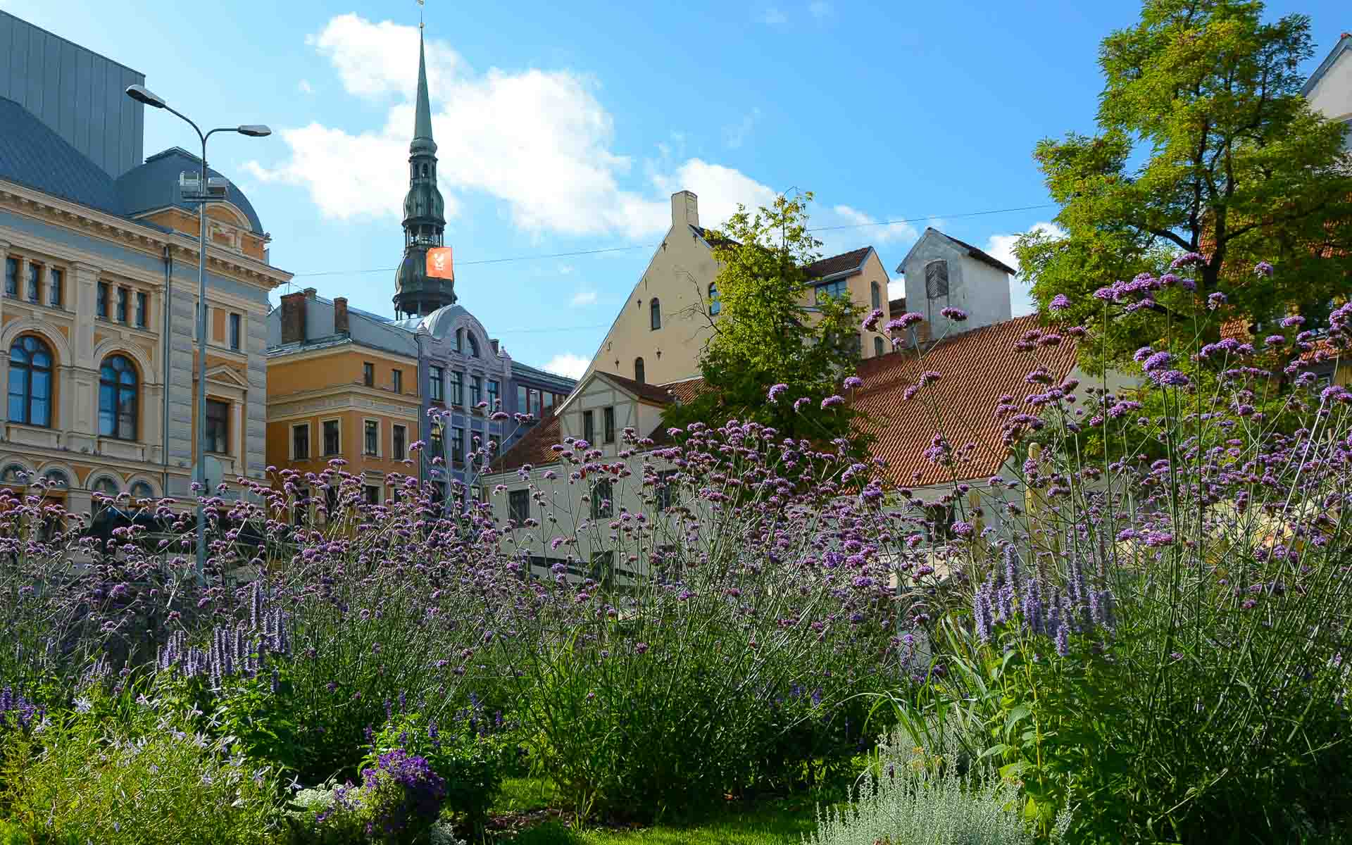 Hinter lila Blumen verstecken sich wunderschöne Häuserfassaden im Jugendstil, sie zieren das Stadtbild Rigas in Lettland.
