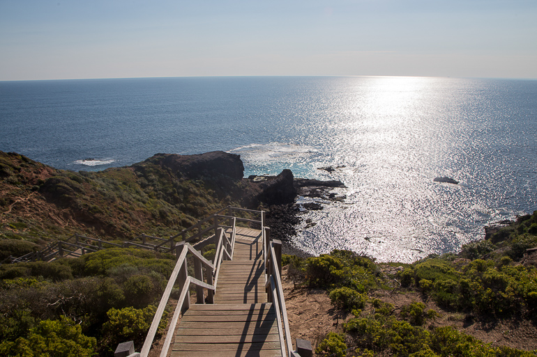 Eine hölzerne Treppe führt Steil zur Küste von Yarra Valleys Capes Chanck, vorbei an bewachsenen Hügeln, während die Sonne auf dem Meer glitzert.