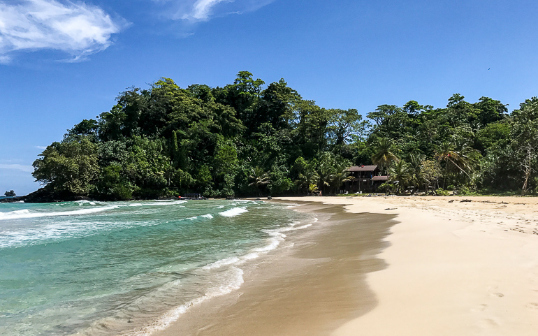 Fine sandy beach, turquoise water and palm trees adorn Red Frog Beach in Bastimentos, Panama.