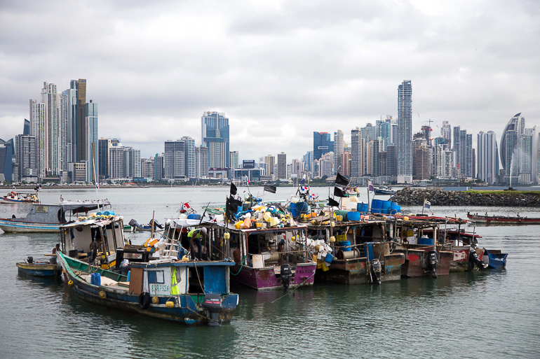 Fully loaded fishing boats sail along the harbor in front of the skyline of Panama City.
