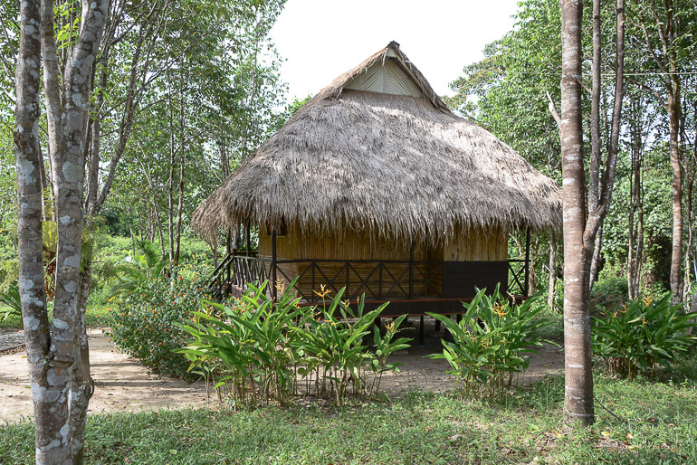 Travellers Insight Reiseblog Reisetipps Kambodscha Cardamom Mountains Chi Path Sun Bear Bungalows