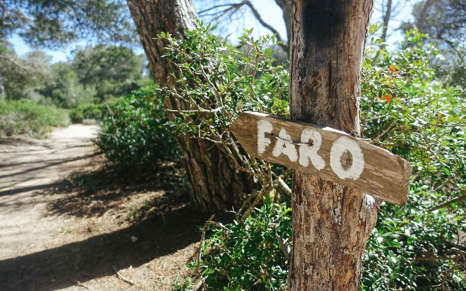 Auf einem bewachsenen Weg in Mallorca hängt an einem Baumstamm ein Holzschild mit der Aufschrift Faro.