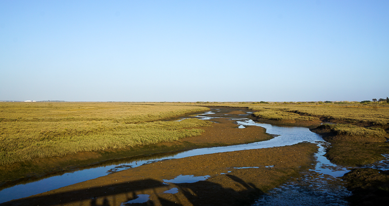 An einem Sumpfgebiet an Portugals Algarve, der Ria Formosa, schlängeln sich Wasserkanäle durch Wiesenfelder.