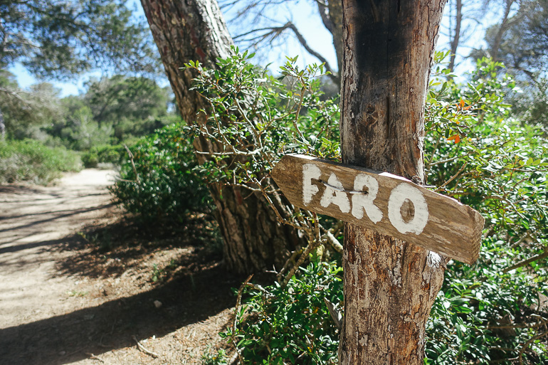 Auf einem bewachsenen Weg in Mallorca hängt an einem Baumstamm ein Holzschild mit der Aufschrift Faro.