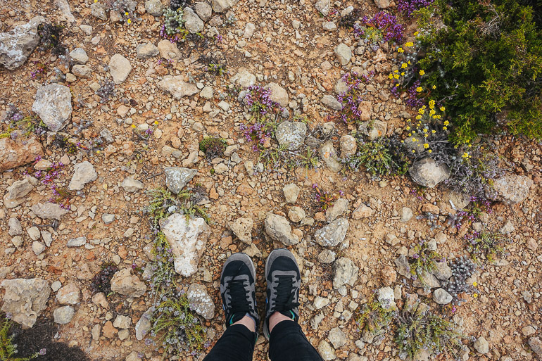 Auf einem stein-sandigen Wanderweg in Mallorca wachsen kleine bunte Blumen.