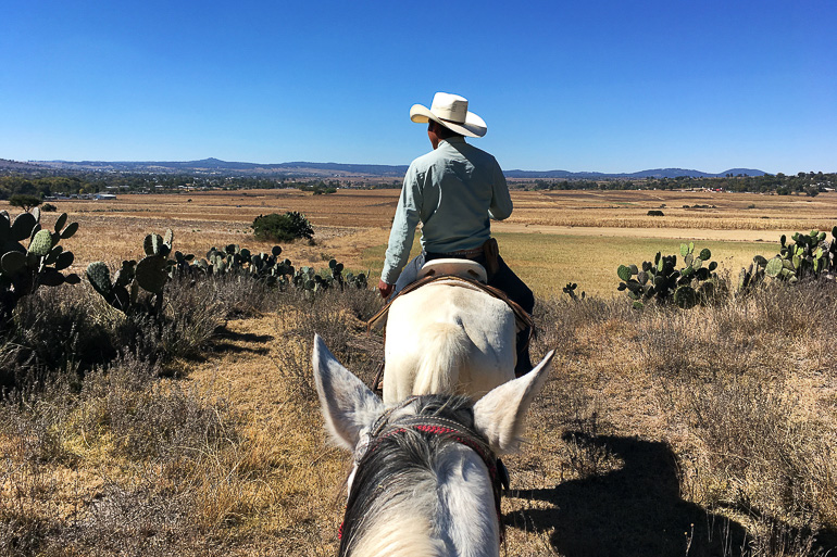Bei der Rancho las Cascadas in der mexikanischen Steppenlandschaft reitet ein Einheimischer mit Cowboyhut auf einem weißen Pferd.