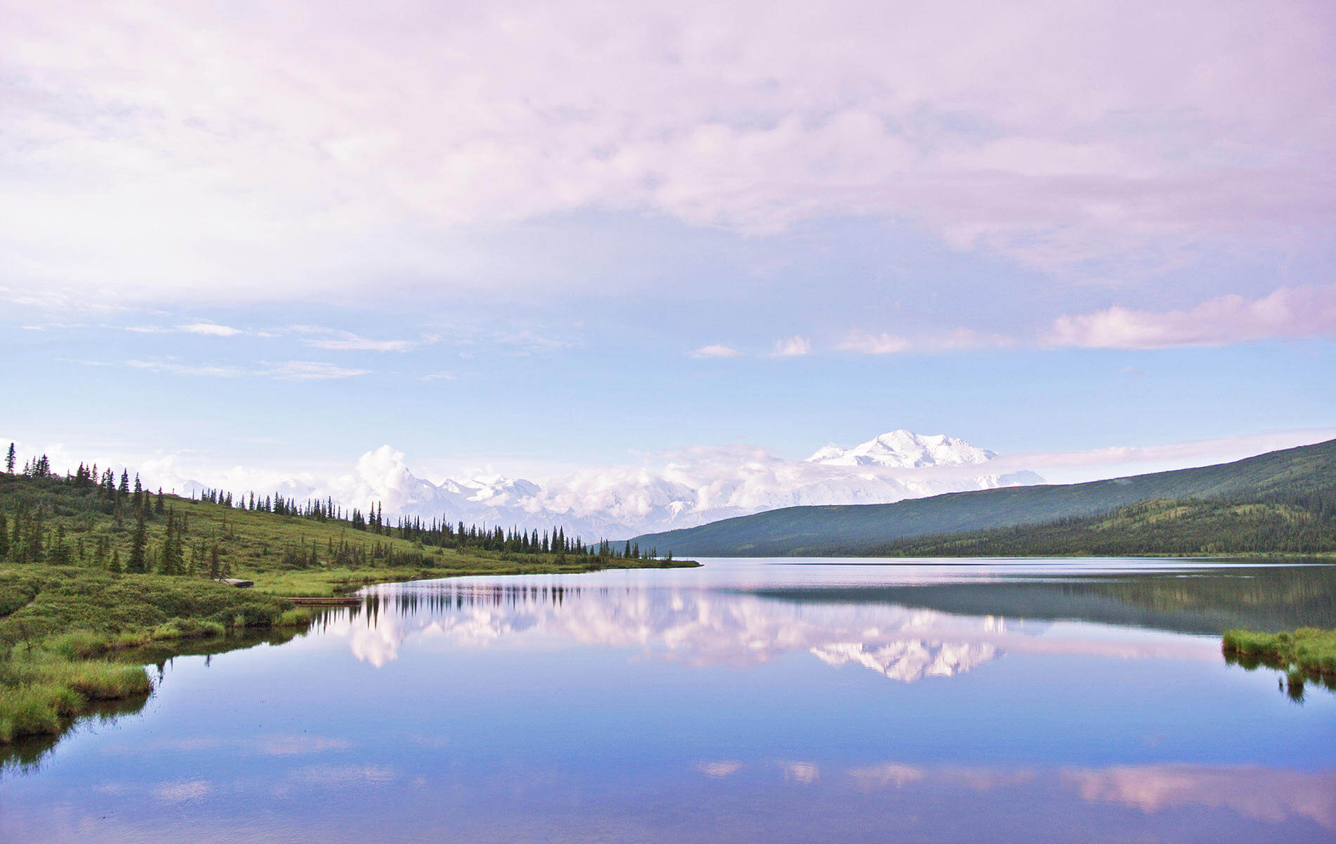 In Alaska am Yukon im Denali Nationalpark, USA liegt ein Bergsee vor den schneebedeckten Bergen zwischen bewaldeten Wiesenhügeln.
