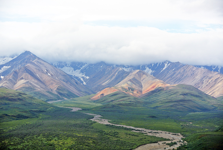 In Denali National Park in Alaska, Yukon USA, behind green hills lie mountains up to the cloud cover.