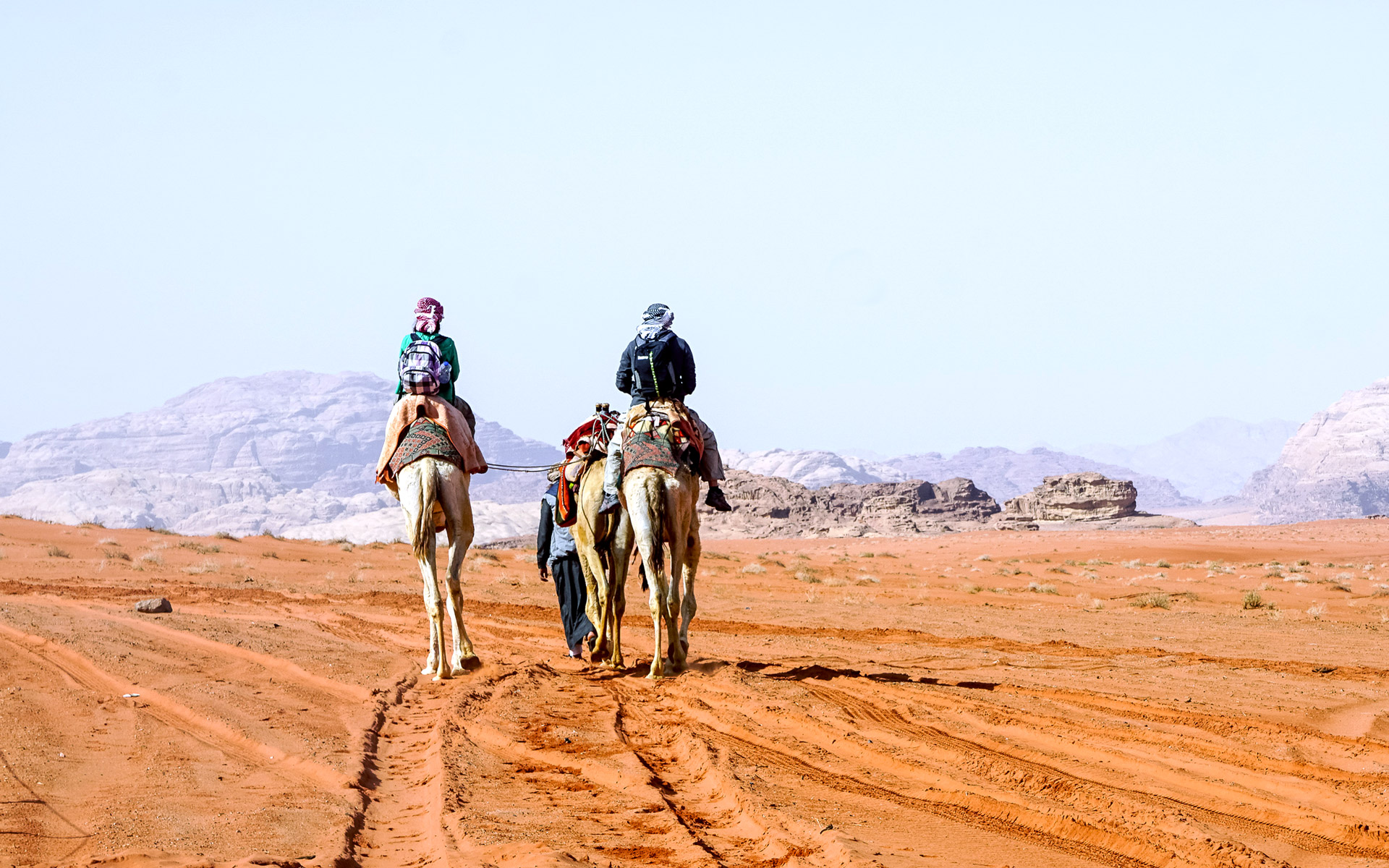Zwei Touristen mit Gepäck werden auf Kamelen von einem Einheimischen durch die Wüste Wadi Rum in Jordanien geführt.