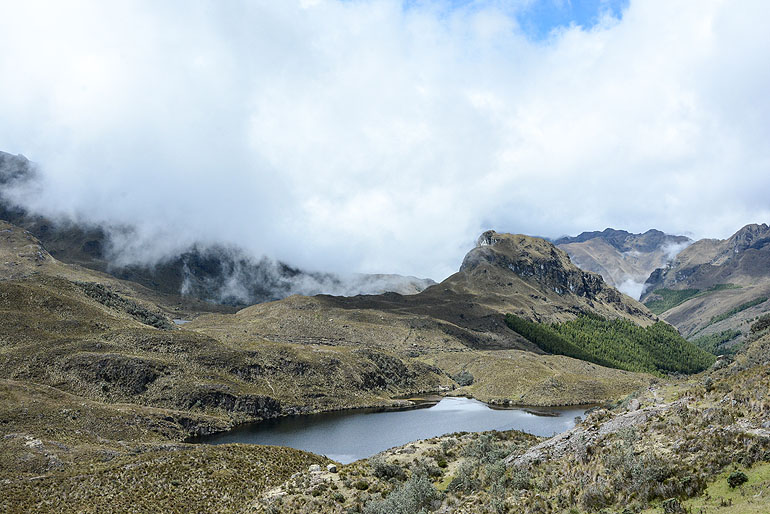 Mystical scenery like in Lord of the Rings: El Cajas National Park 30 kilometers from Cuenca.