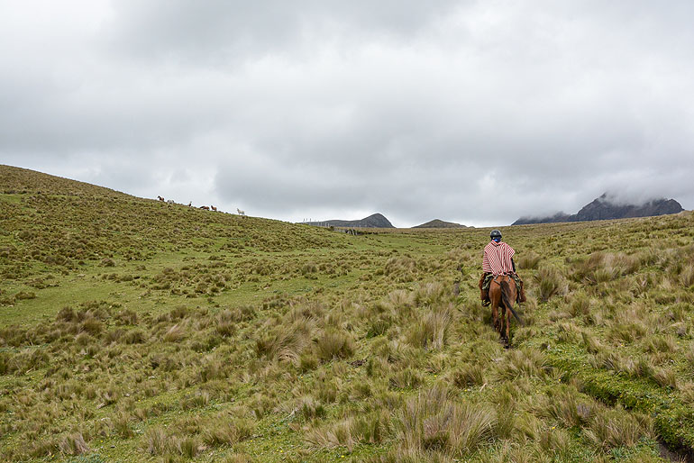 Do it like the Chagras, the Ecuadorian cowboys - ride through the vastness of the Andes.