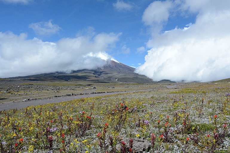 At almost 5,900 meters, Cotopaxi is one of the highest active volcanoes in the world.