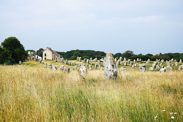 Ein Meer aus Hinkelsteinen in Carnac.
