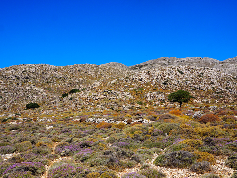 Karpathos besteht fast ausschließlich aus Gebirgslandschaften.