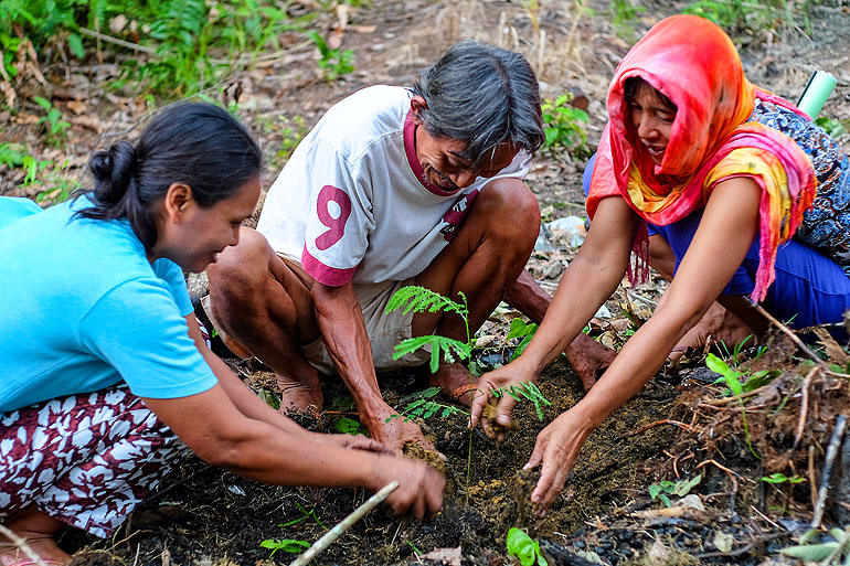 Drei einheimische Bauern auf Kalimantan in Borneo pflanzen einen Baum für das Projekt 1 Million Trees.