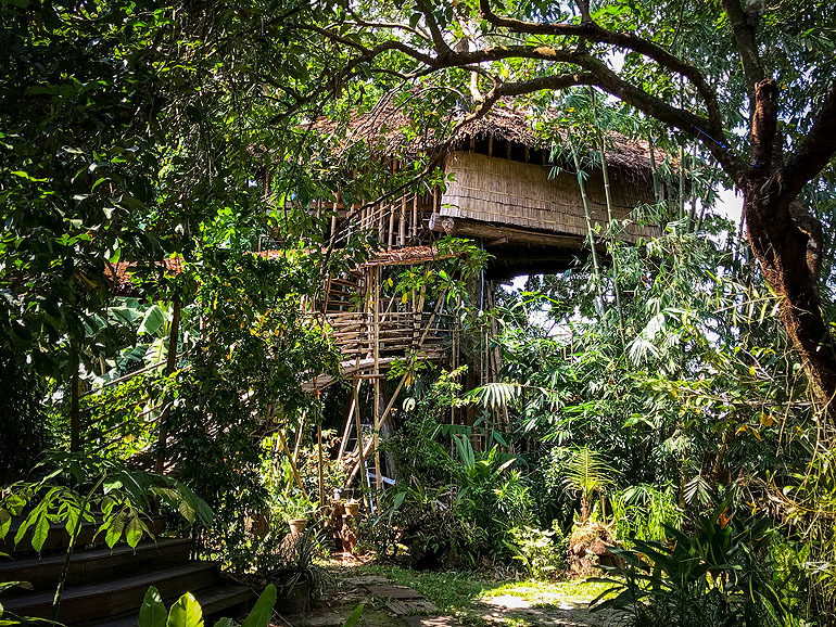 Das Bukit Raya Guesthouse in Borneos in Palangka Raya ist ein Baumhaus aus Holz und Bambus und steht inmitten von Bäumen und Pflanzen.