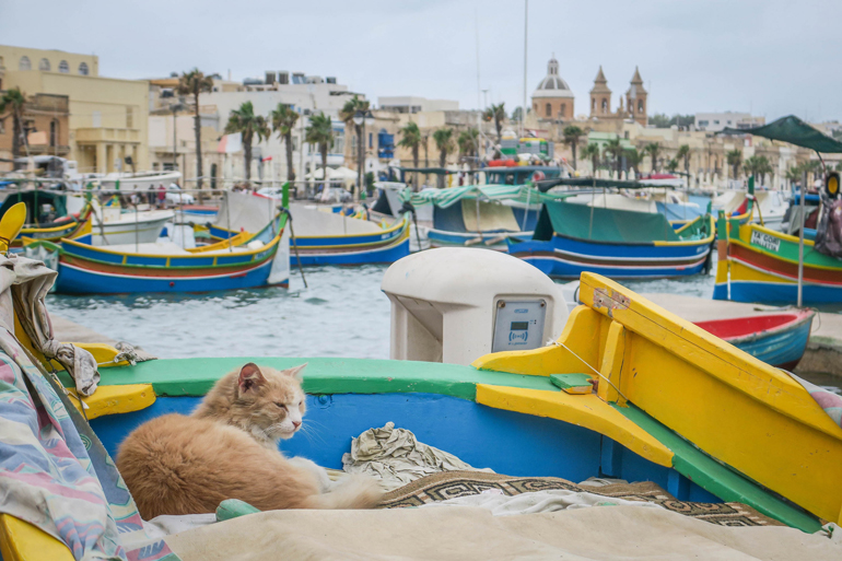 Katze liegt in einem Fischerboot im Hafen von Marsaxlokk