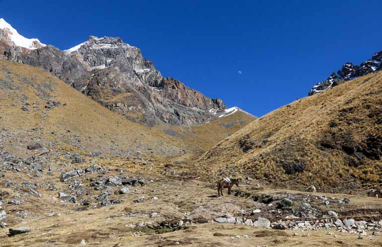 Ein Berg in Peru auf dem Weg zum Machu Picchu mit Esel im Vordergrund.