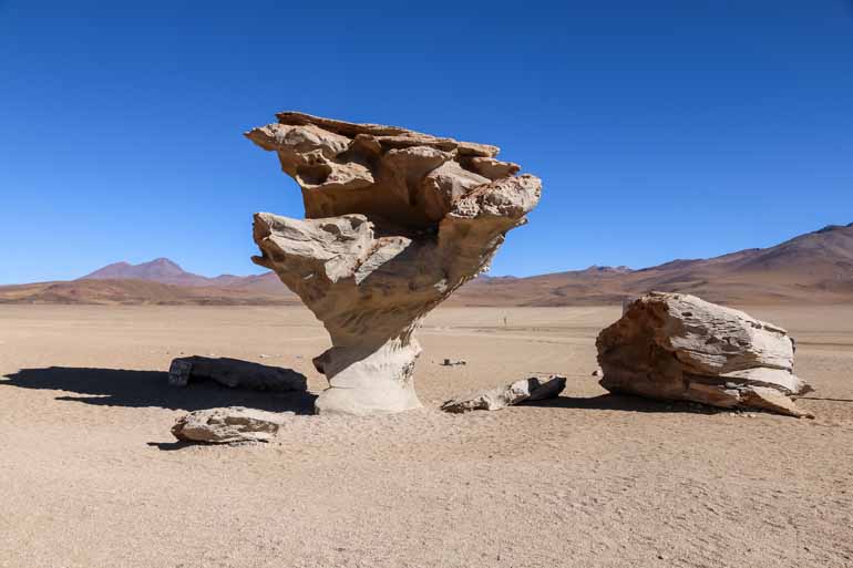 Der bekannte Treestone in Bolivens Weiten ist ein Stein in vorm eines Baums.