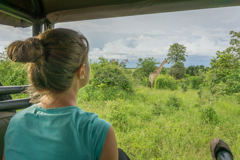 A woman looks with her back to the camera at the Chobe National Park, in the background there is a giraffe in a meadow.