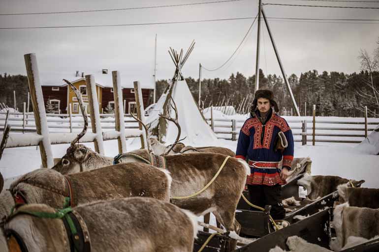Finnisch Lappland: Ein Rentiergehege in dem ein Mann steht.