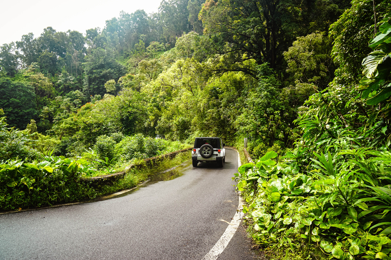 Entlang der Road to Hāna schlängelt sich ein Jeep an Bambuswäldern und Regenbogeneukalyptusbäumen vorbei.